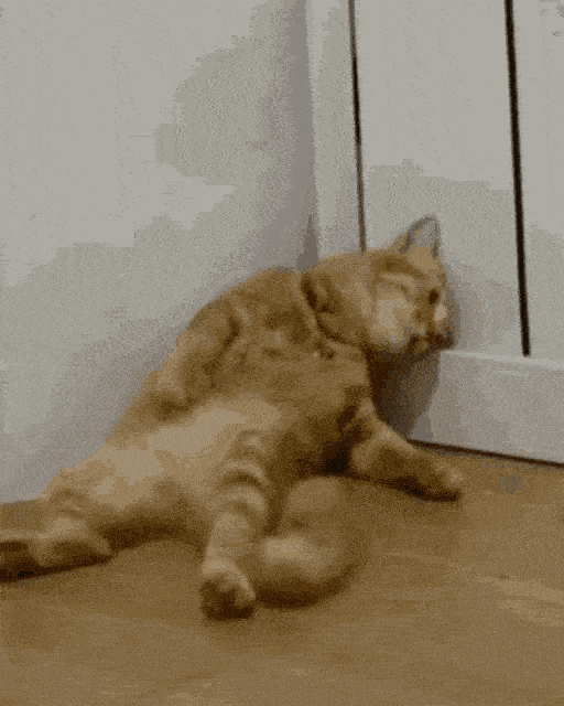 1120518i21187EEA6DB75825?v=v2.gif