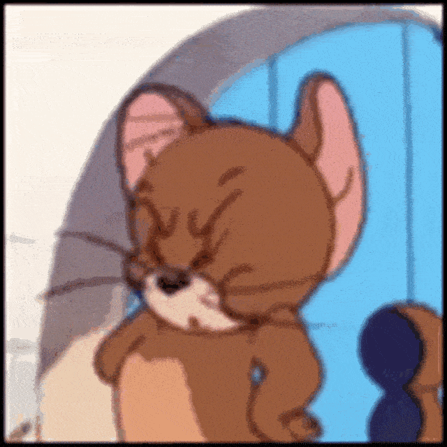 1142934i4C89E5264C10DD82?v=v2.gif
