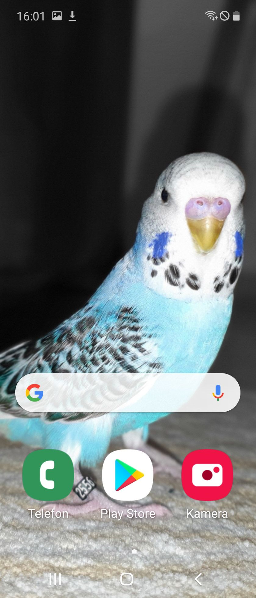114647i0B8B813DA0EC6959?v=v2.jpg