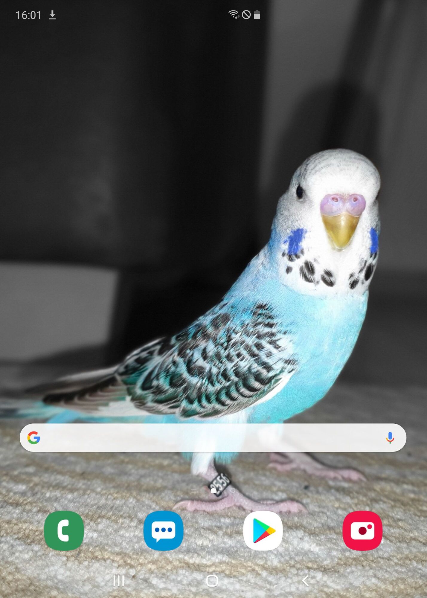 114648i425B7A4F7961EF97?v=v2.jpg