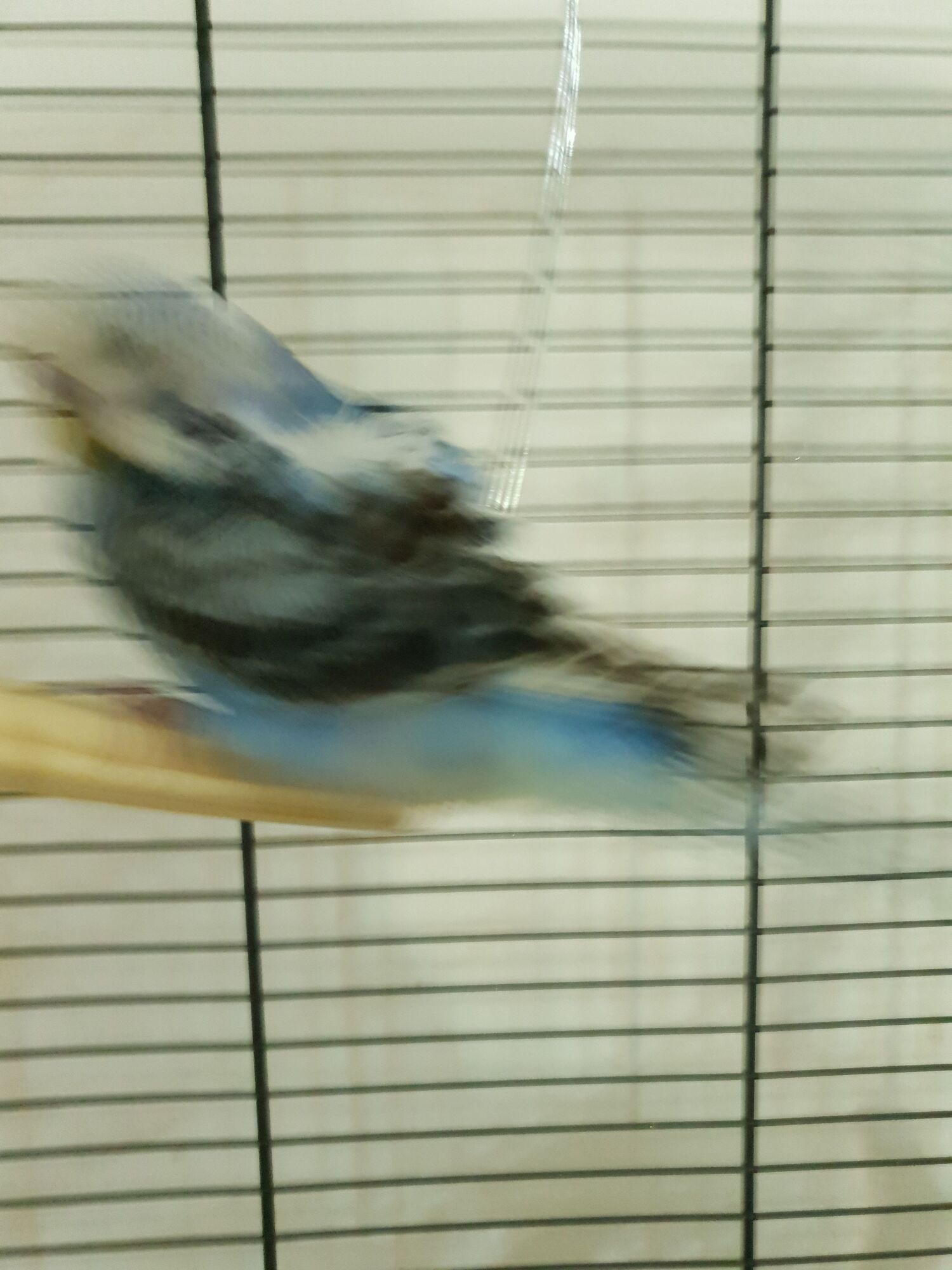 116598iD3805531B9994C8D?v=v2.jpg
