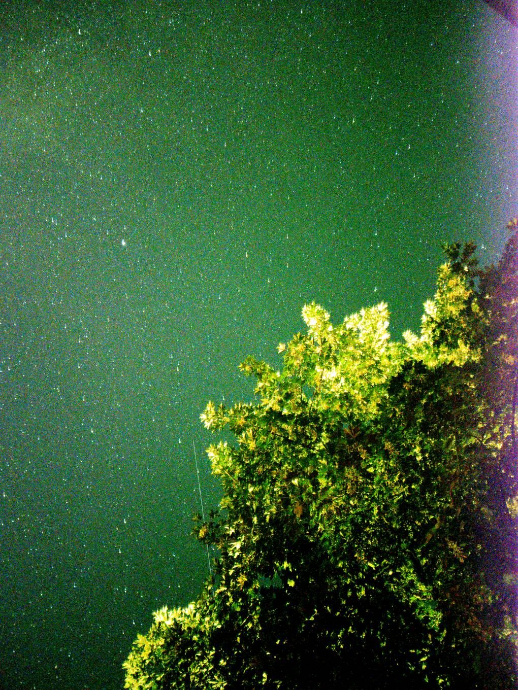 1218269iC41D719FF1523056?v=v2.jpg