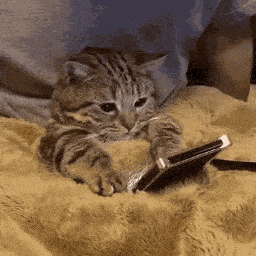 1257428i4A23B86ECE9247C7?v=v2.gif