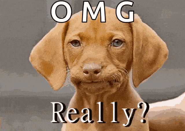 1275487i426AA09E02991395?v=v2.gif