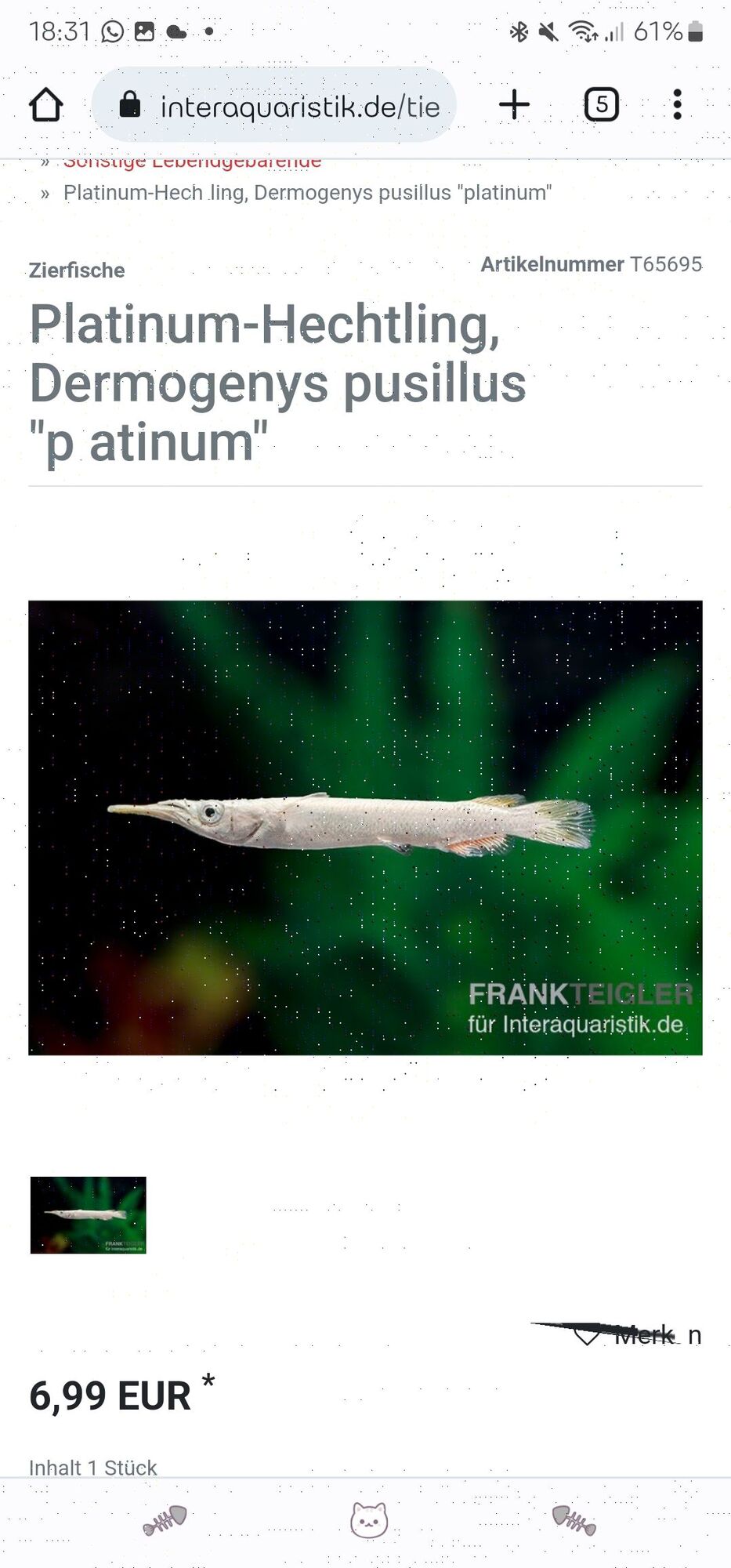 1278380i837371D823755A0D?v=v2.jpg