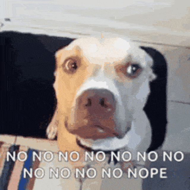 1299899i6317CF5404D841BC?v=v2.gif