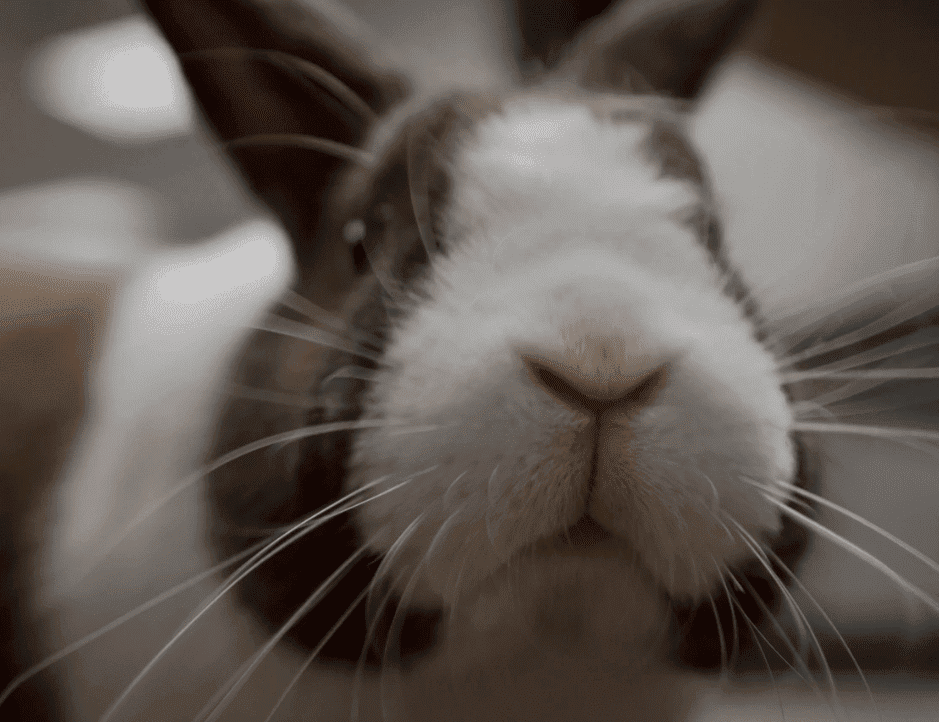 138643iA2232C5C7FD68A68?v=v2.png