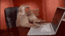 1400147i213A304A6ED48398?v=v2.gif