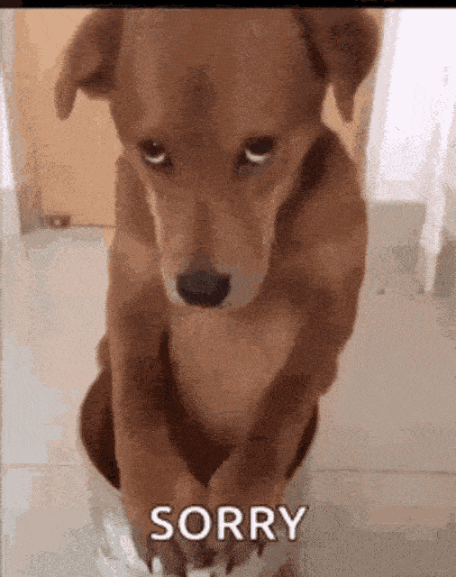 1408259i00D262E05307C7C1?v=v2.gif