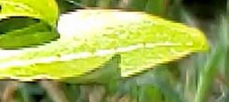 154587i859F310BF3F2A6F6?v=v2.jpg
