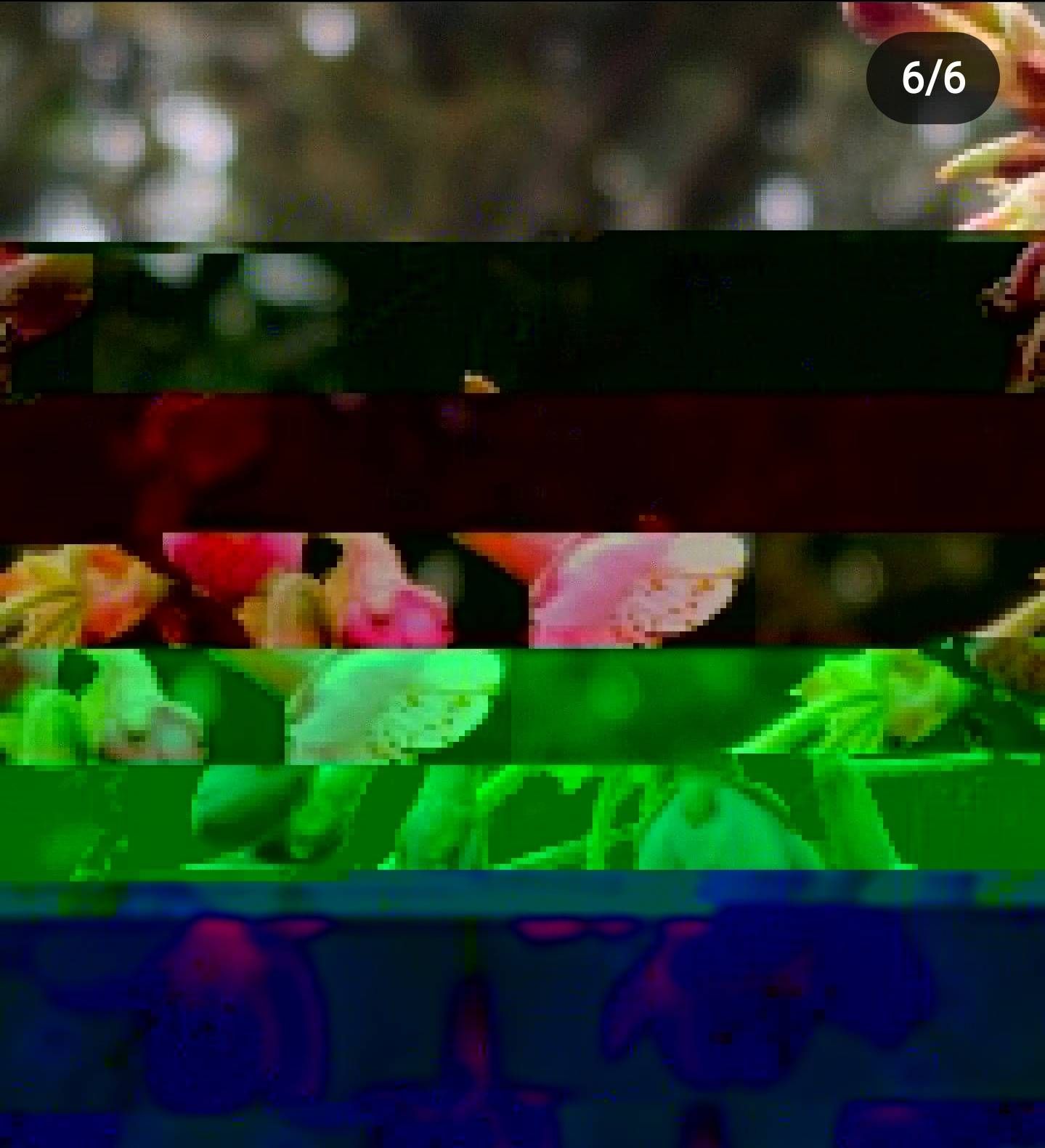 1574383i15D41A3459595B53?v=v2.jpg