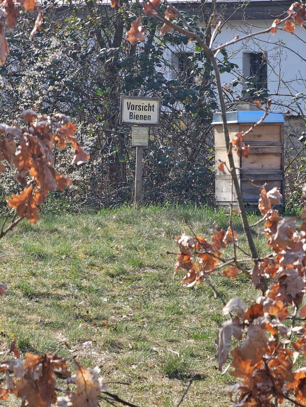 1621230iE9E888F878A1DA5E?v=v2.jpg