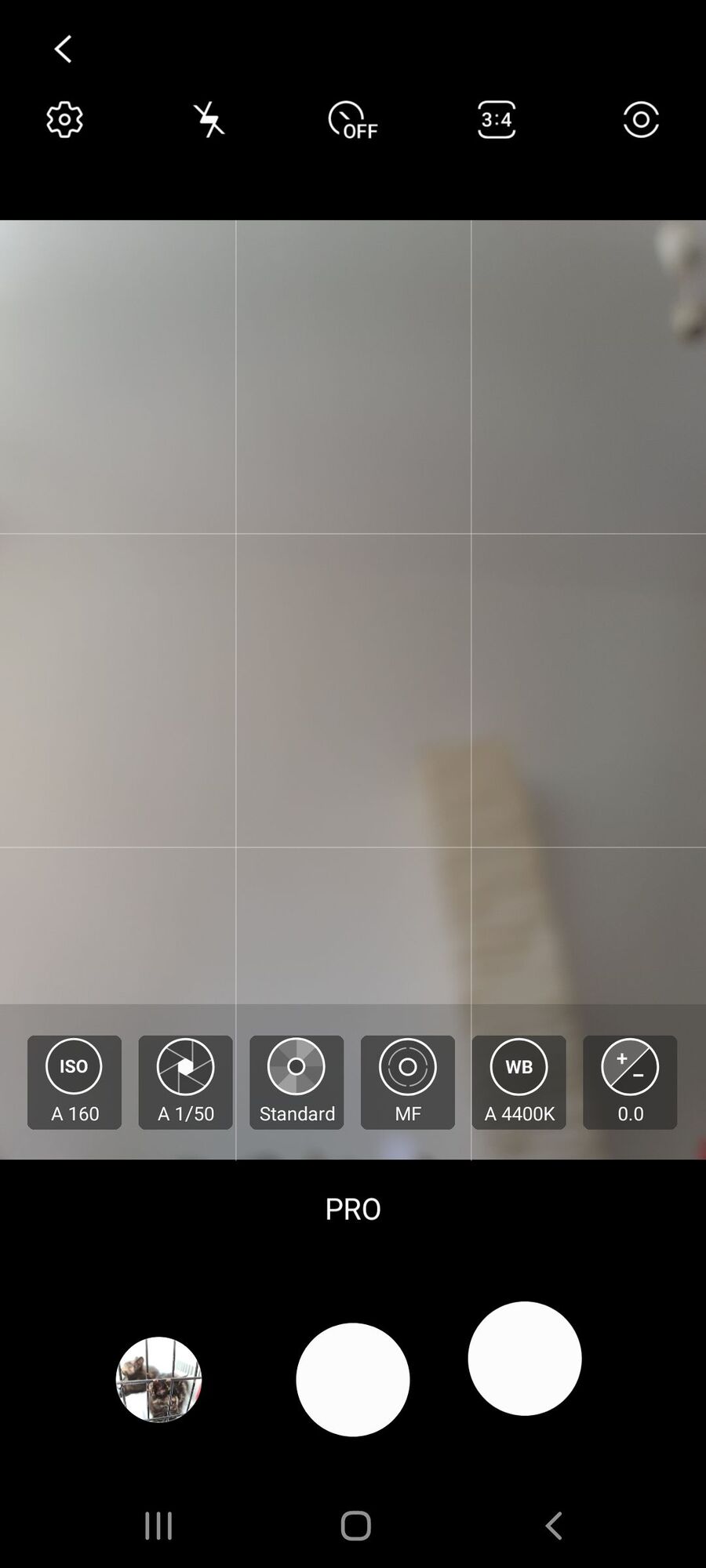 172863i9FD19C6A382FA0D2?v=v2.jpg