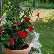 20190811-170305.jpg