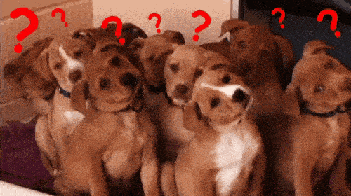 223999i0A543933F55E75F4?v=v2.gif