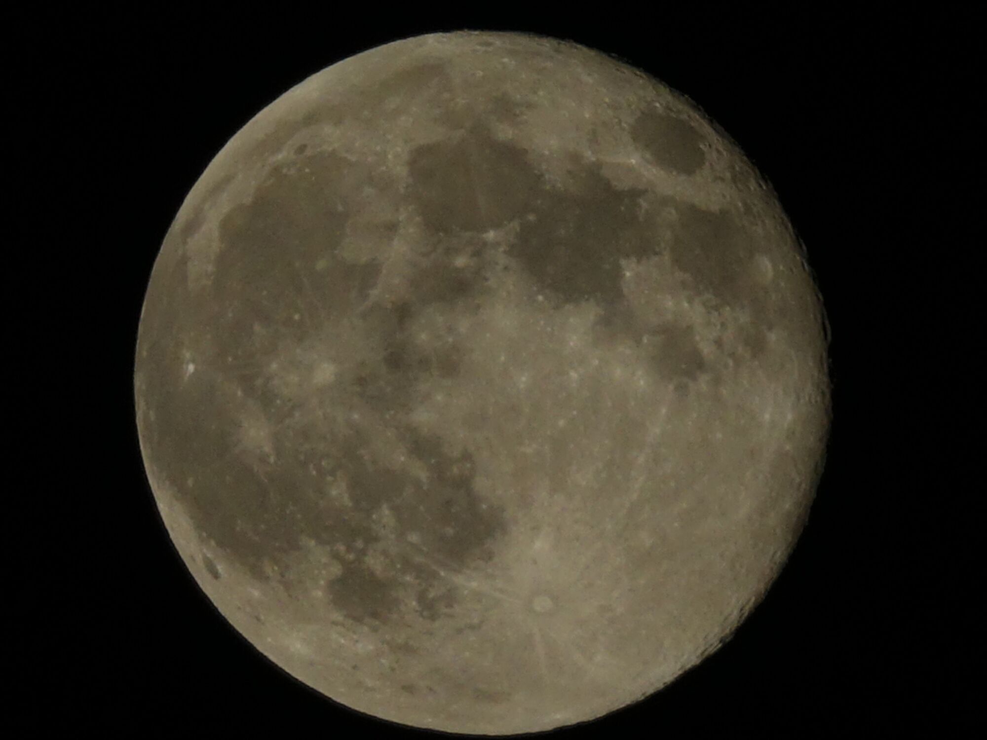 585415iA44861985352FEF5?v=v2.jpg