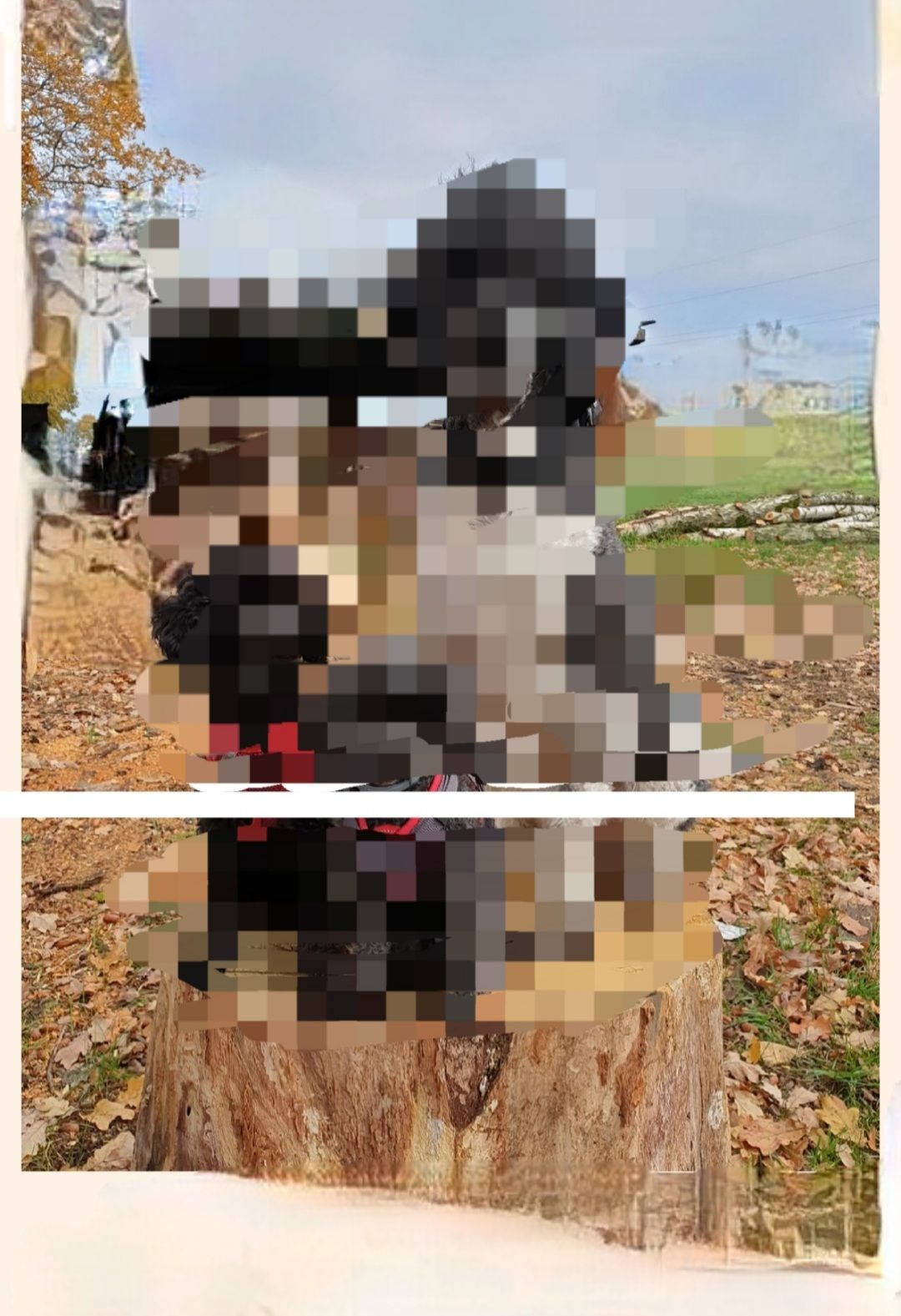 587363iF0579AAA2523C484?v=v2.jpg