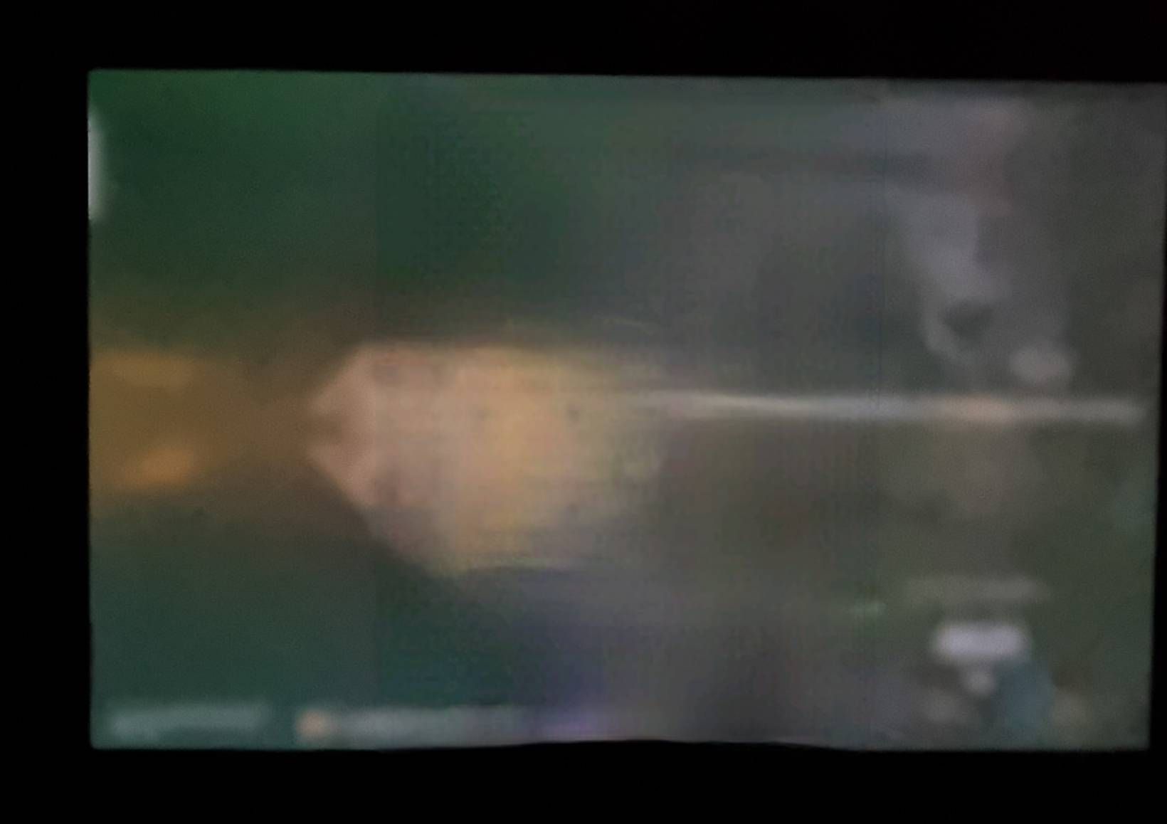 589882iCC3293898597B7A8?v=v2.jpg