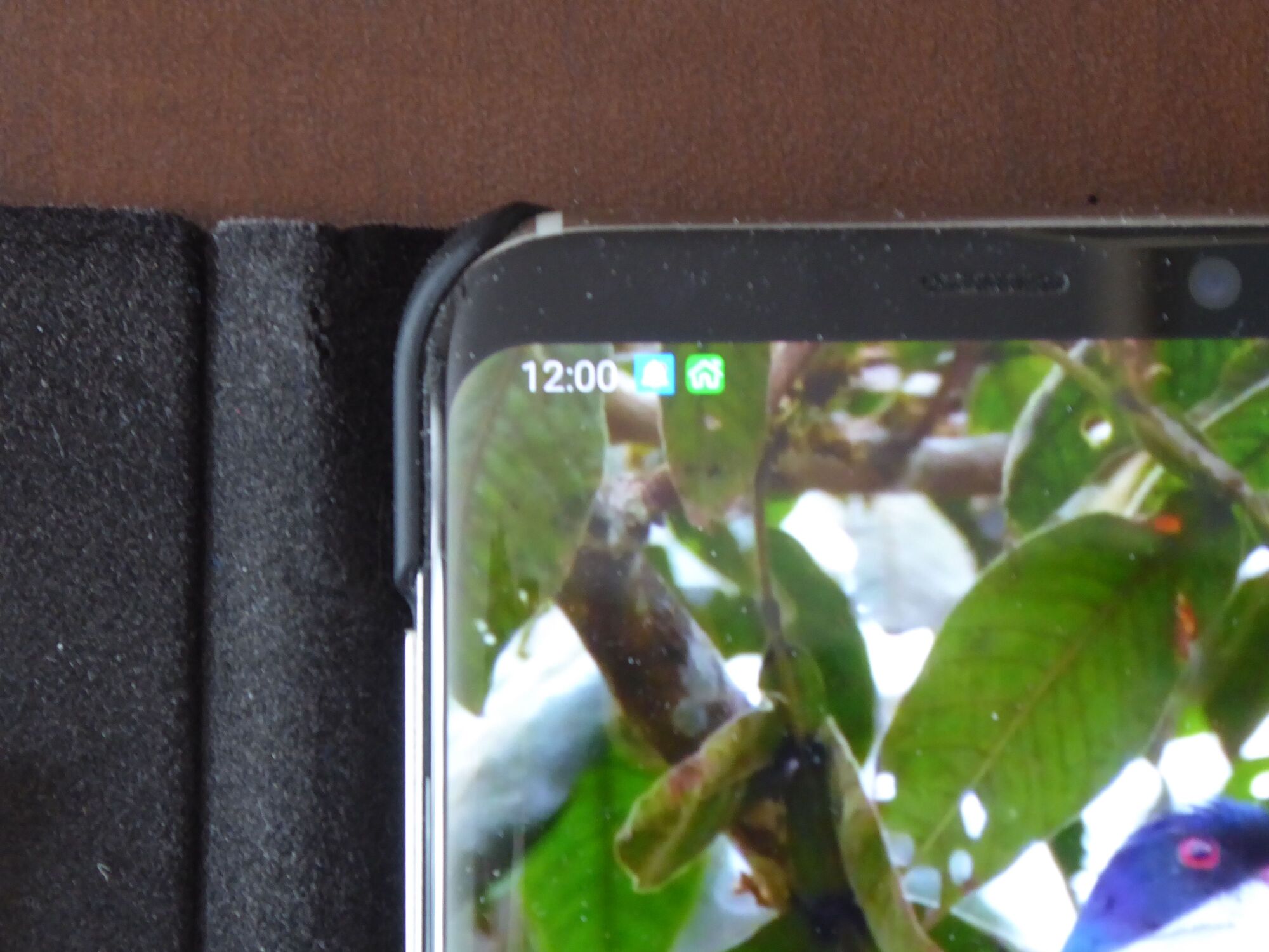 79303iC6CE3D4F55DD6554?v=v2.jpg