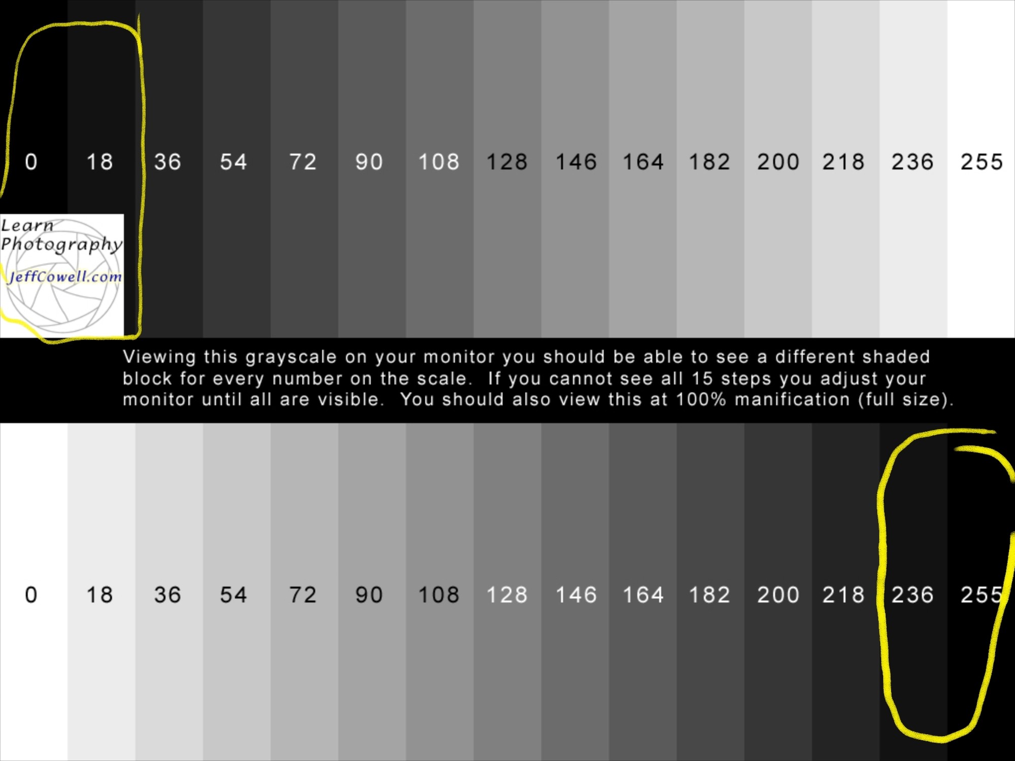 9592i326E6DE5E0562353?v=v2.jpg