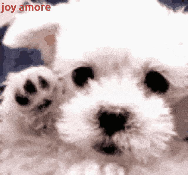 981665iC78ADFEBDAA80A4B?v=v2.gif