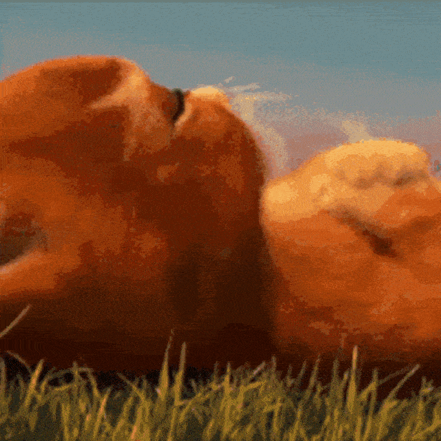 988390iC84F0DBA723069CA?v=v2.gif