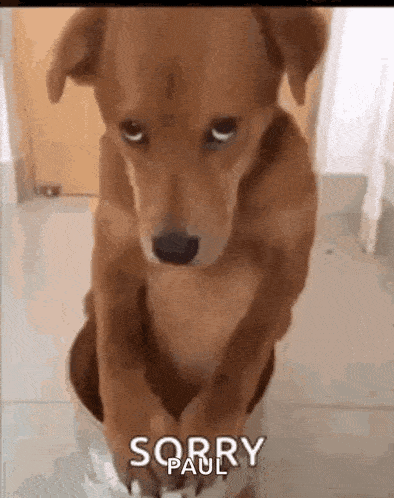 true?v=v2.gif