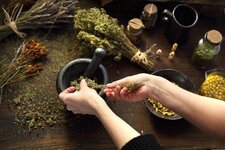 HERBALIST 12.jpg