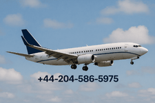 +44-204-586-5975.png