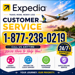 expedia0219bigger.png
