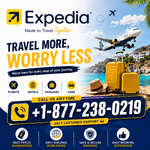expedianew0219.png