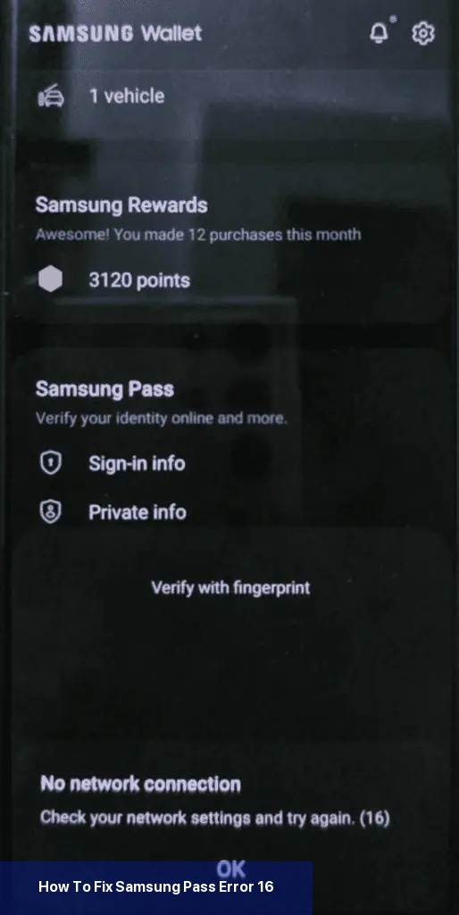 Samsung Pass Fehler 16 beheben