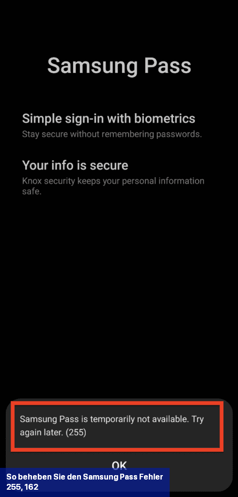 So beheben Sie den Samsung Pass-Fehler 255, 162