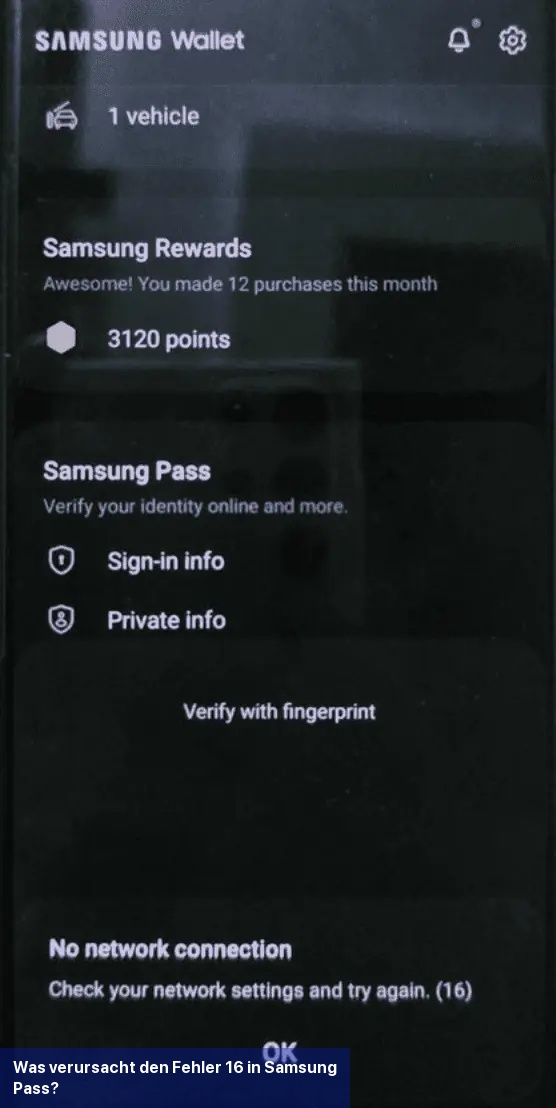 Was verursacht den Fehler 16 in Samsung Pass?