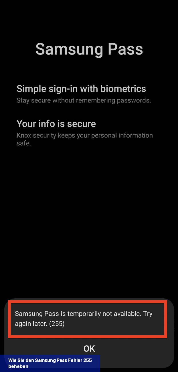 Wie Sie den Samsung Pass-Fehler 255 beheben